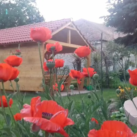 Rozsakert Vendeghaz Guest house